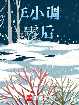 E小调雪后